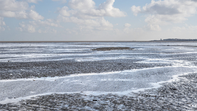Whitstable Photography Midday Light Colour Whitstable Photography Midday Light Colour
