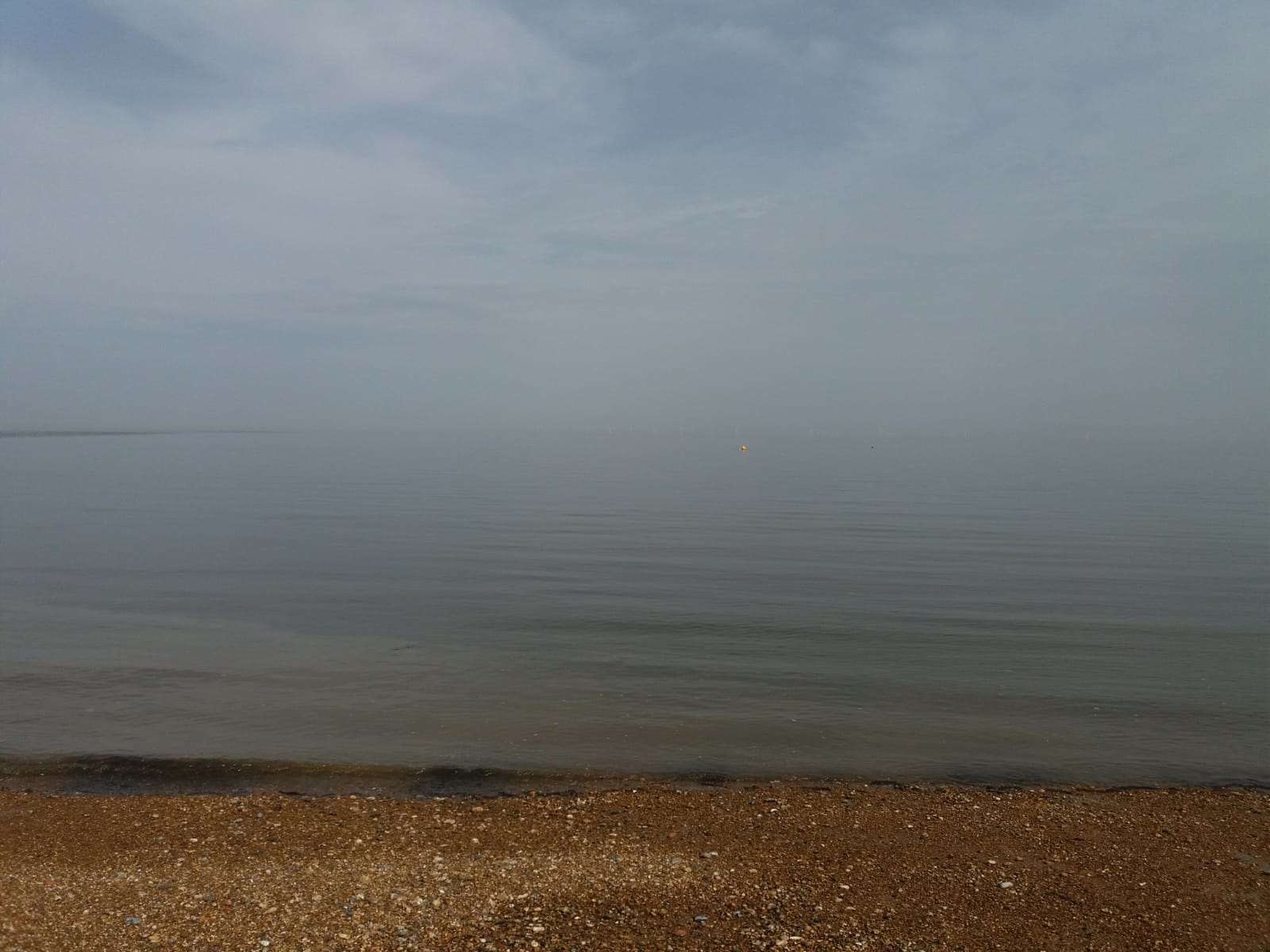 Eyes on the Whitstable Horizon