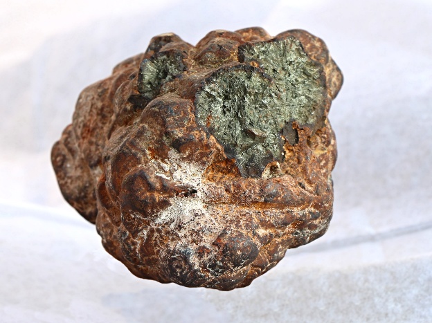 A brown copperas nodule, known locally as a goldstone, showing the brassy iron pyrites inside.