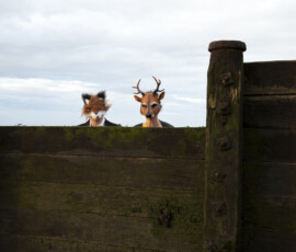 Fox and deer masks peer over a mossy wooden groyne